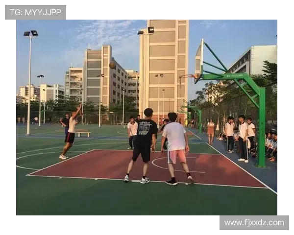 篮球魅力无限：从街头竞技到职业赛场的热血征程与精神传承