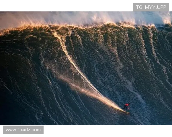 极限运动新手必看：从零开始的比赛经验与技巧全攻略