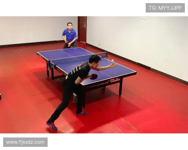 深入分析杭州乒乓球队的区域防守战术与技术特点