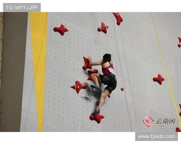 聚焦攀岩精神：杭州攀岩队如何通过团队协作实现突破与成长