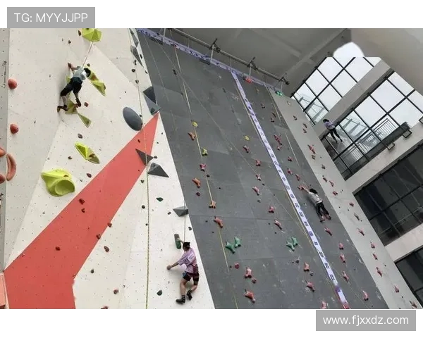 重庆攀岩队实力解析：聚焦攀岩运动的崛起与发展
